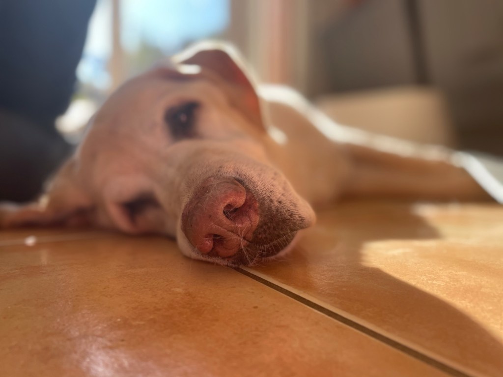 My Reflection in Peach&nbsp;Tiles